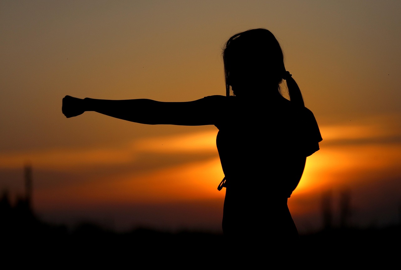 karate, sunset, fight, sports, silhouette, resistance, samurai, fit, girl, self-defense, defense, fist, nature, brown sunset, brown sports