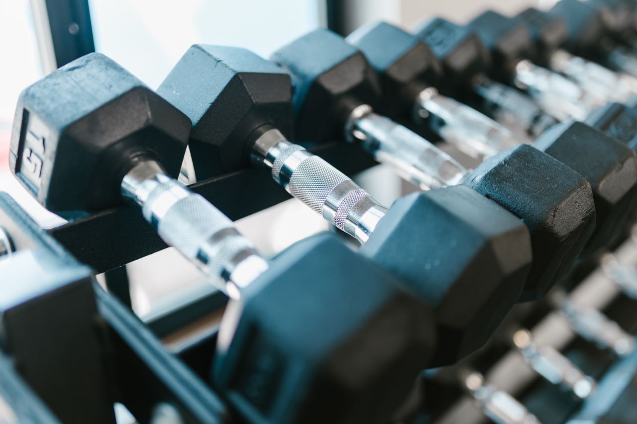 Detailed close-up of dumbbells on a rack in a sunlit modern gym setting.